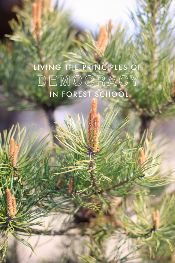 Toddlers develop their education in democracy by getting outside in forest school.